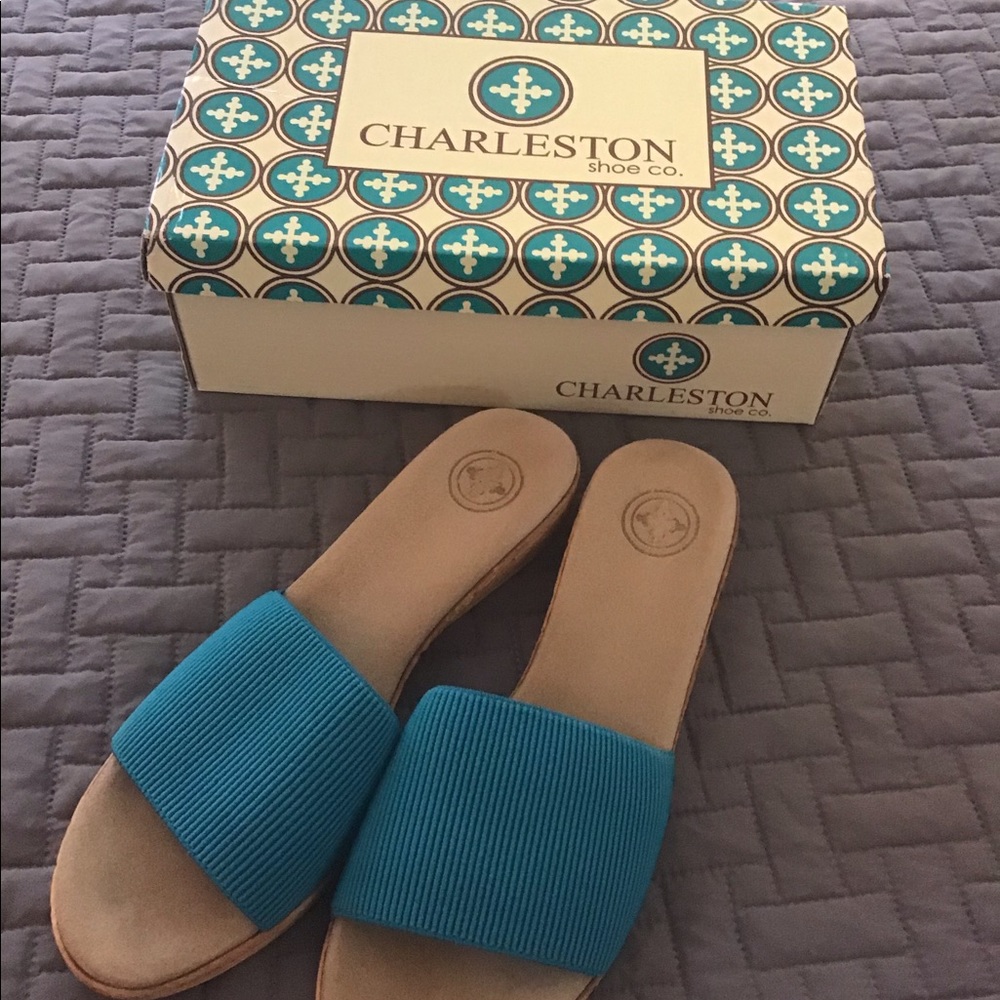 Beautiful Charleston sandal size 9